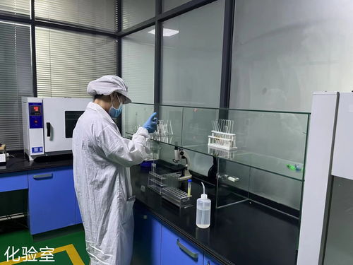 新泰市构建全产业链体系 软件技术赋能预制菜产业高质量发展