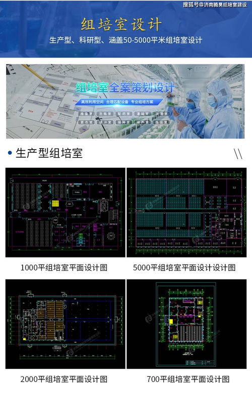 组织培养室培养架光照调控 组培灯光照强度与软件技术开发的协同创新