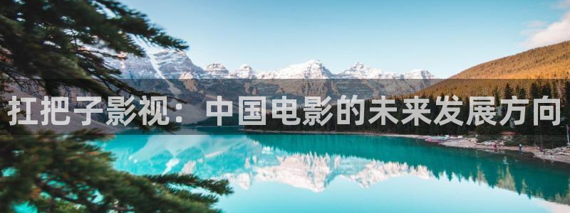 17c蓝莓视频