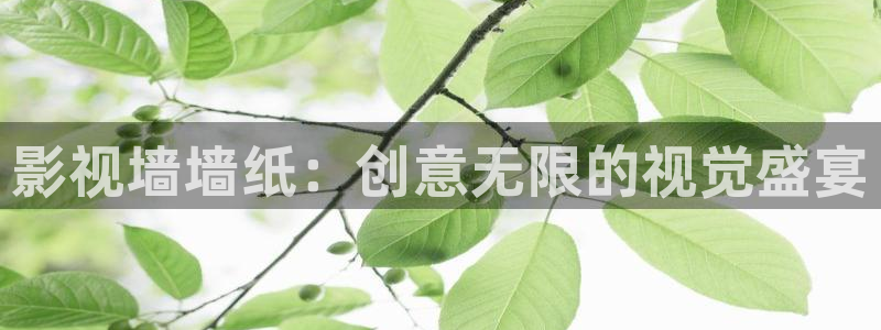 蓝莓怎样采摘视频