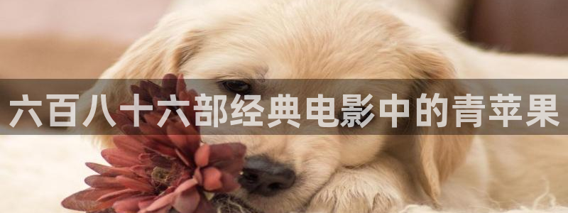 蓝莓视频黄色免费