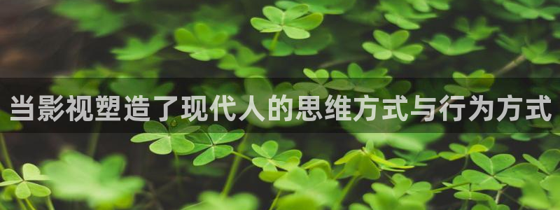 蓝莓sg视频