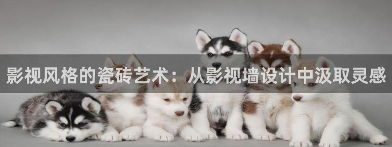 蓝莓 视频：影视风格的瓷砖艺术：从影视墙设计中汲取灵感