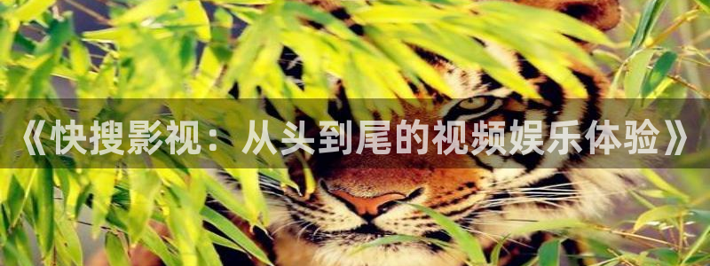 蓝莓视频久久：《快搜影视：从头到尾的视频娱乐体验》