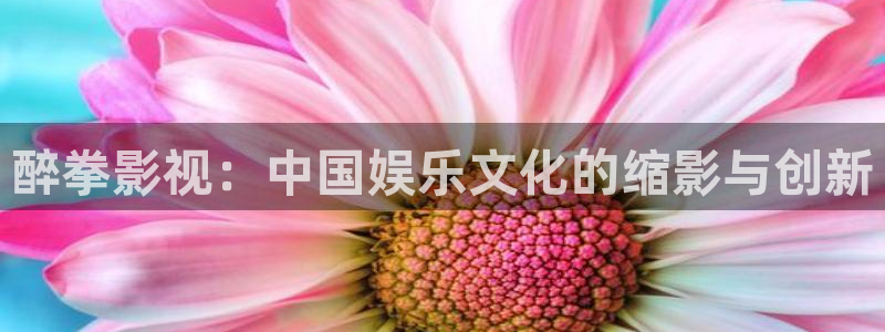 www.蓝莓影院：醉拳影视：中国娱乐文化的缩影与创新