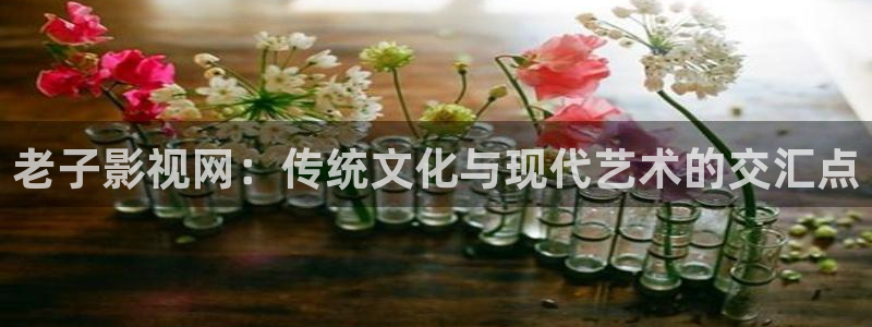蓝莓视频.m3u8：老子影视网：传统文化与现代艺术的交汇点